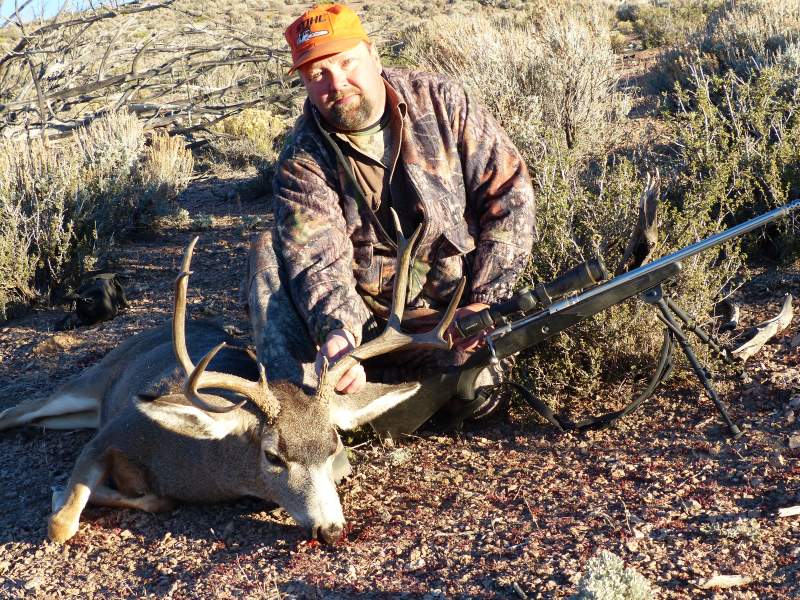 Nevada Mule Deer 2014