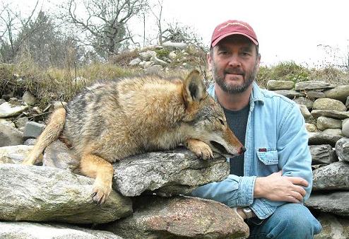 Shot this yote while calling for deer in Nov. 2010