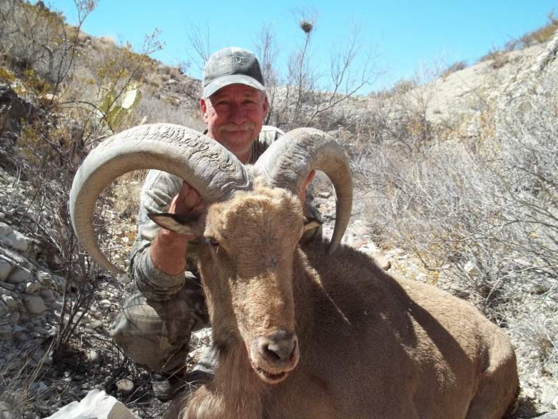 Taken In the Sierra Viejas mountains of west Texas.