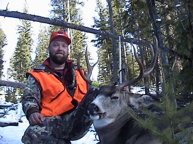 Washington Mule Deer