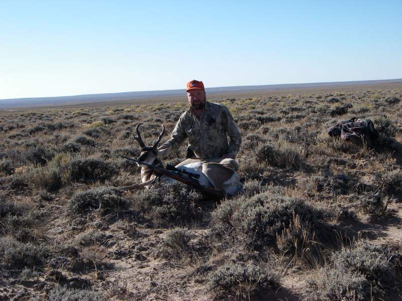 Wyoming Antelope