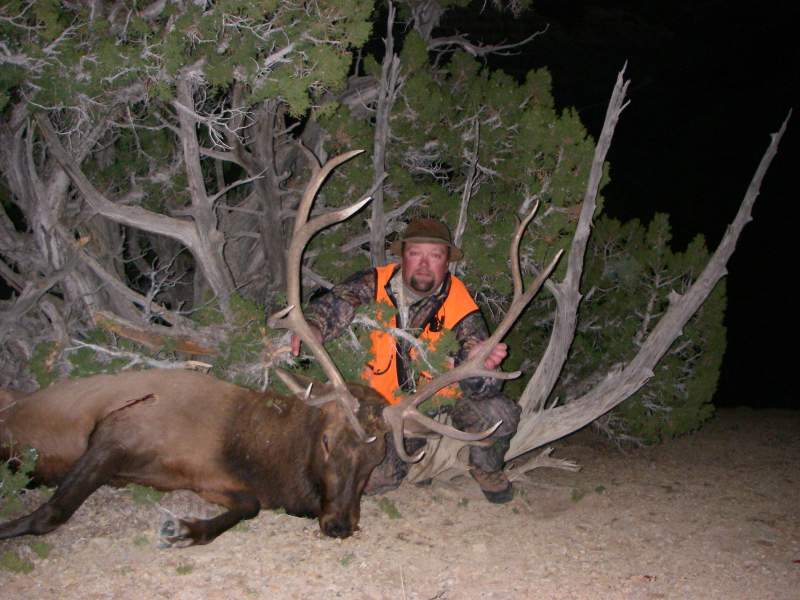 Wyoming Rocky Mountain Elk