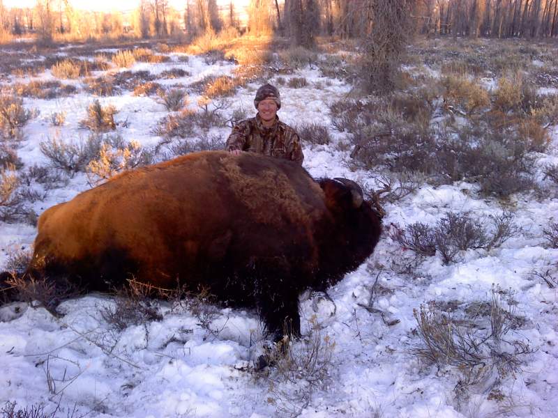 Wyoming - Wild Bison - Unit 2
