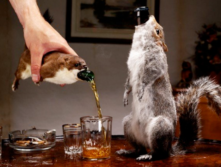 Squirrel+Beer.png