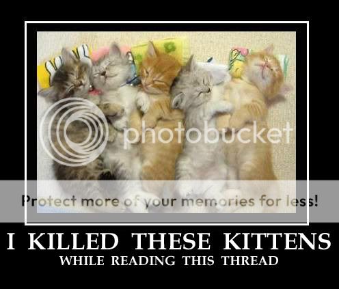 zzikilledthesekittensjk4.jpg