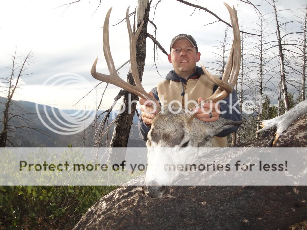 Idaho2nddeer011.jpg