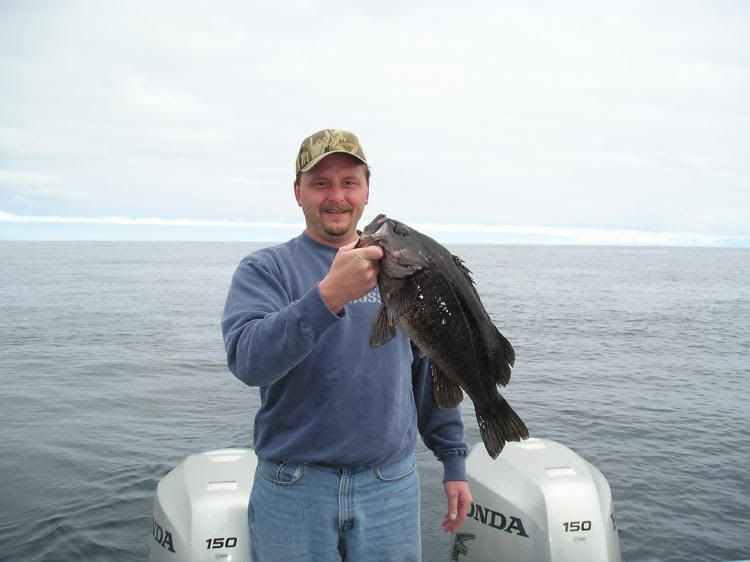 June08Rockfish.jpg