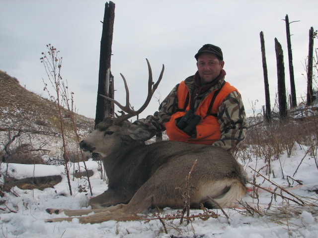 2010deer%20021.jpg