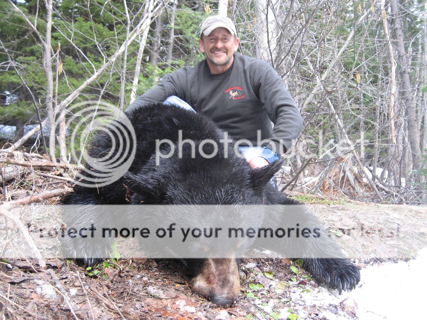 bear2011024.jpg