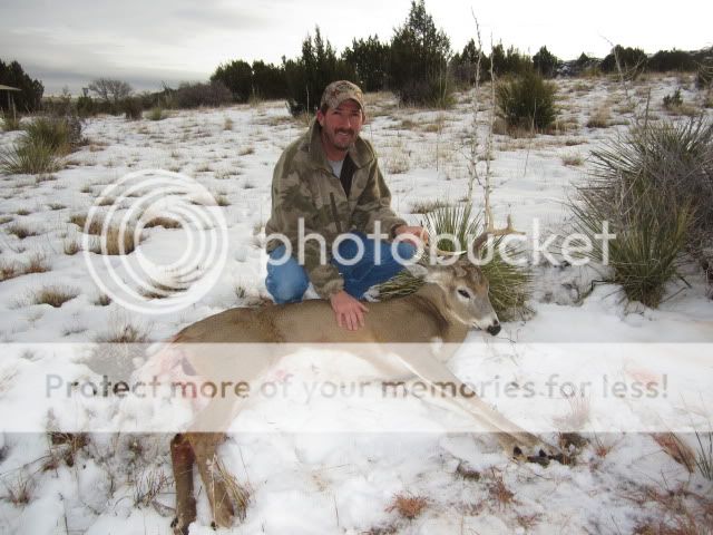 NMWhitetail126-1.jpg