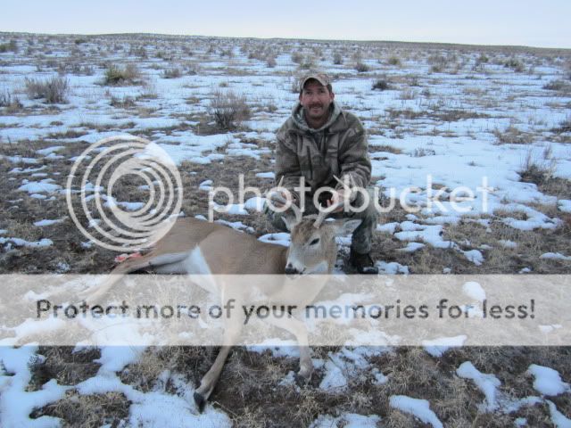 NMWhitetail112.jpg