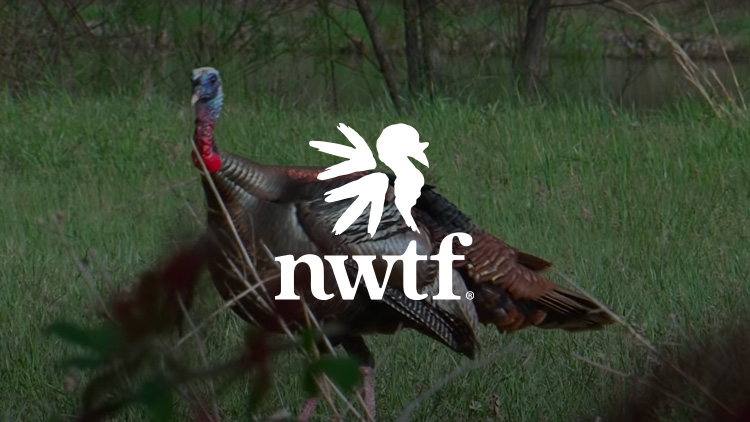 www.nwtf.org