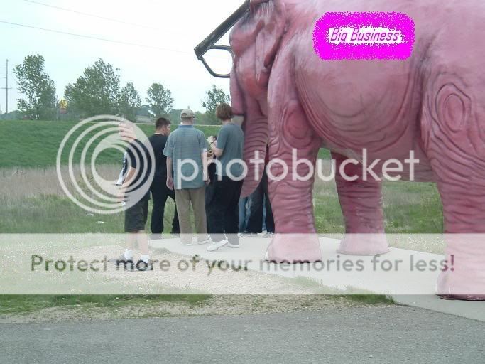 pink_elephant.jpg