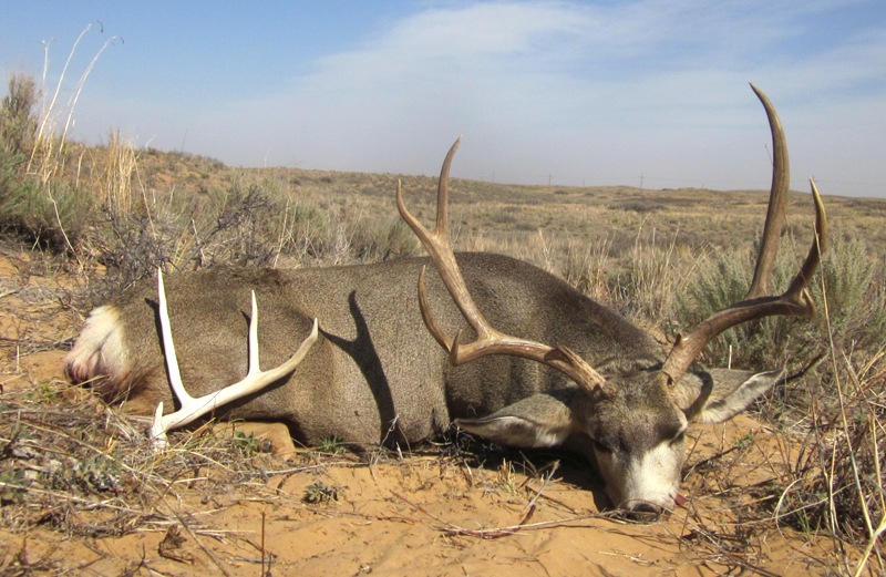 2011_NM_Muley3.jpg