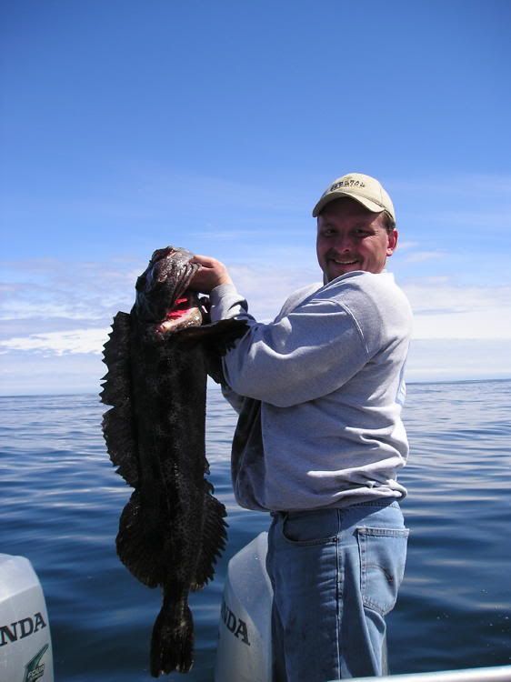 Lingcod.jpg