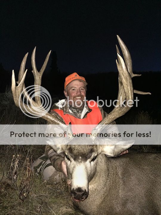 Buck2_zps8fba31e5.jpg