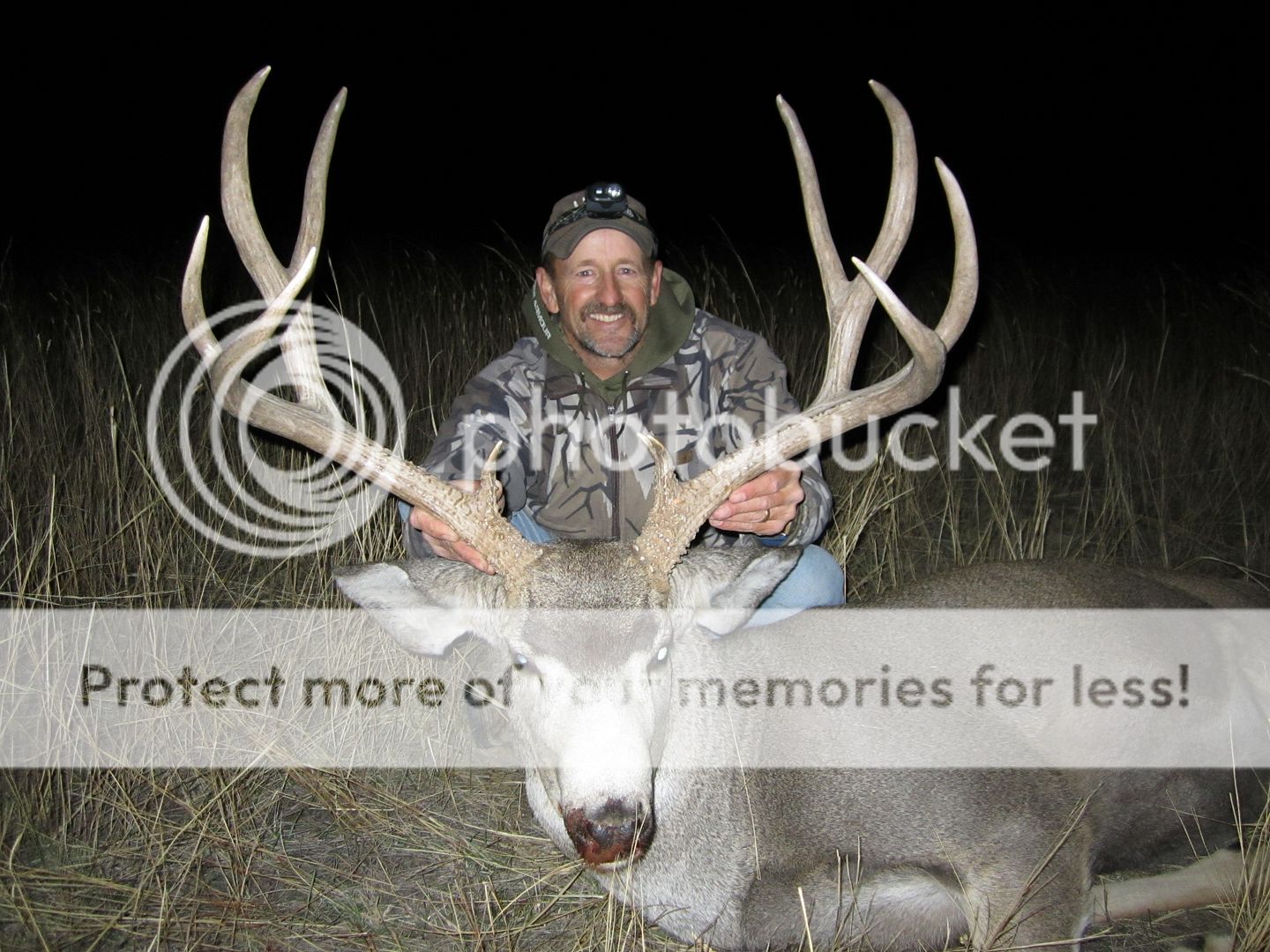 mdbuck2011014.jpg