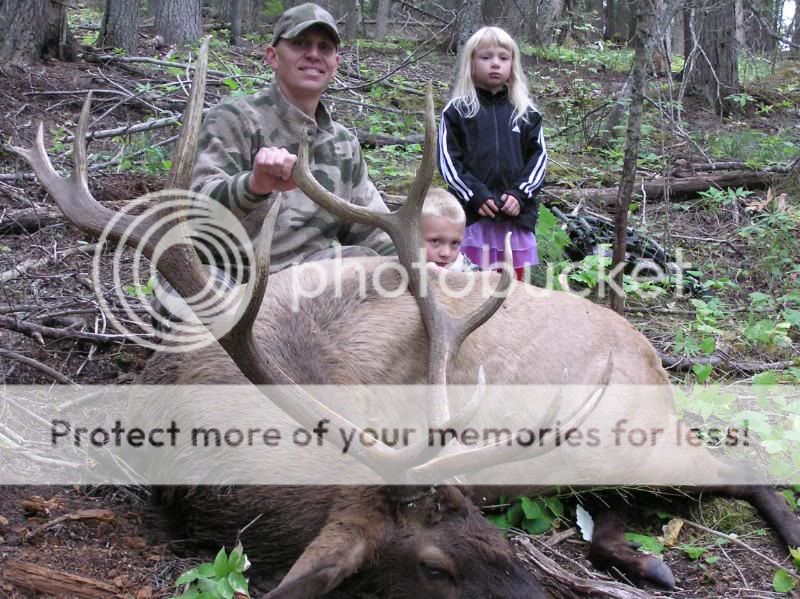 elk2011014.jpg