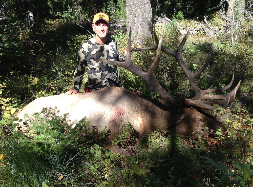 2013_Wyoming_Elk2_002.jpg