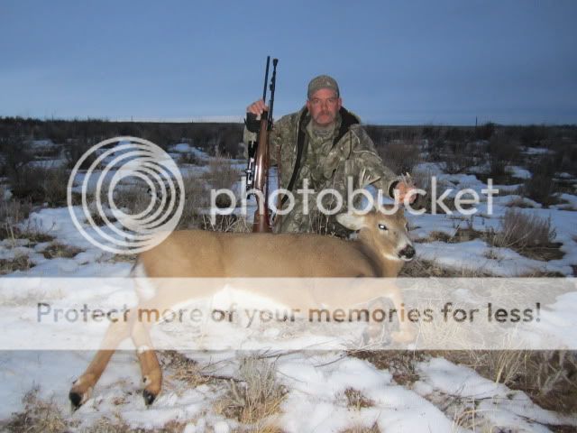 NMWhitetail118.jpg