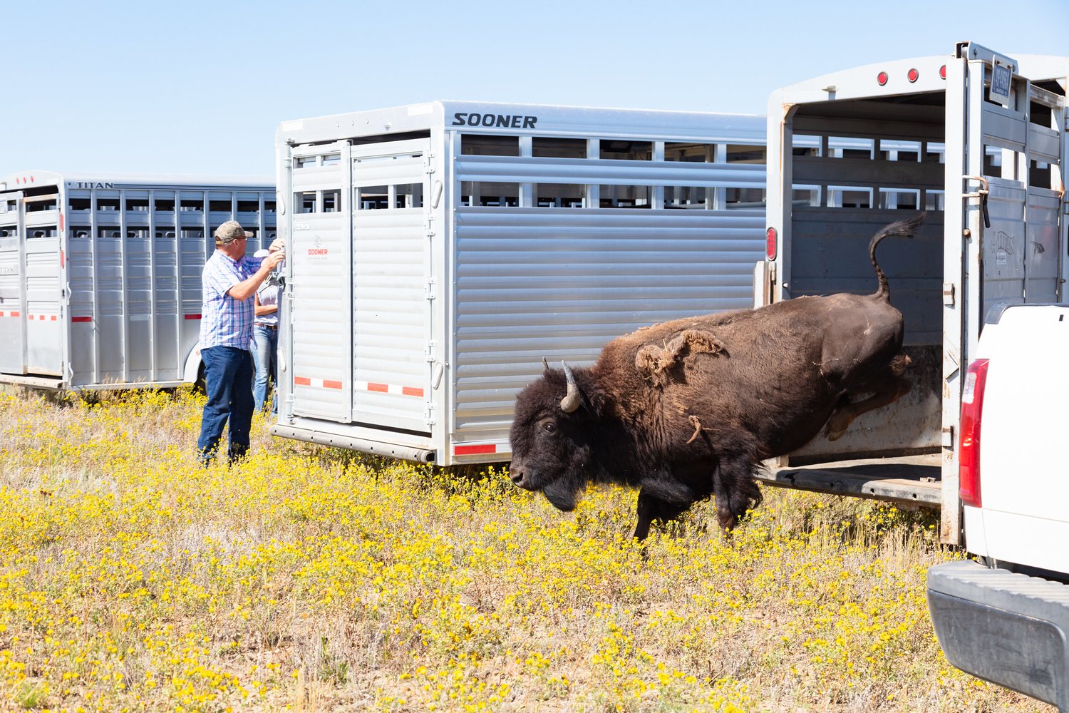 greateryellowstone.org