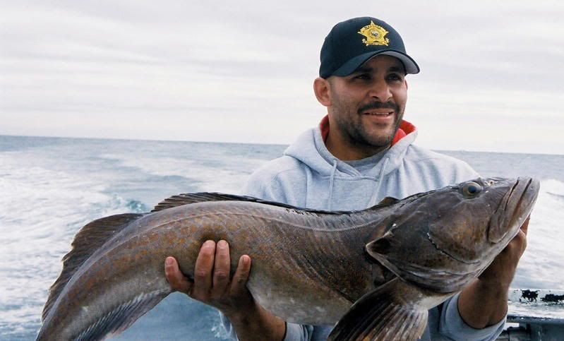 2006Lingcod.jpg