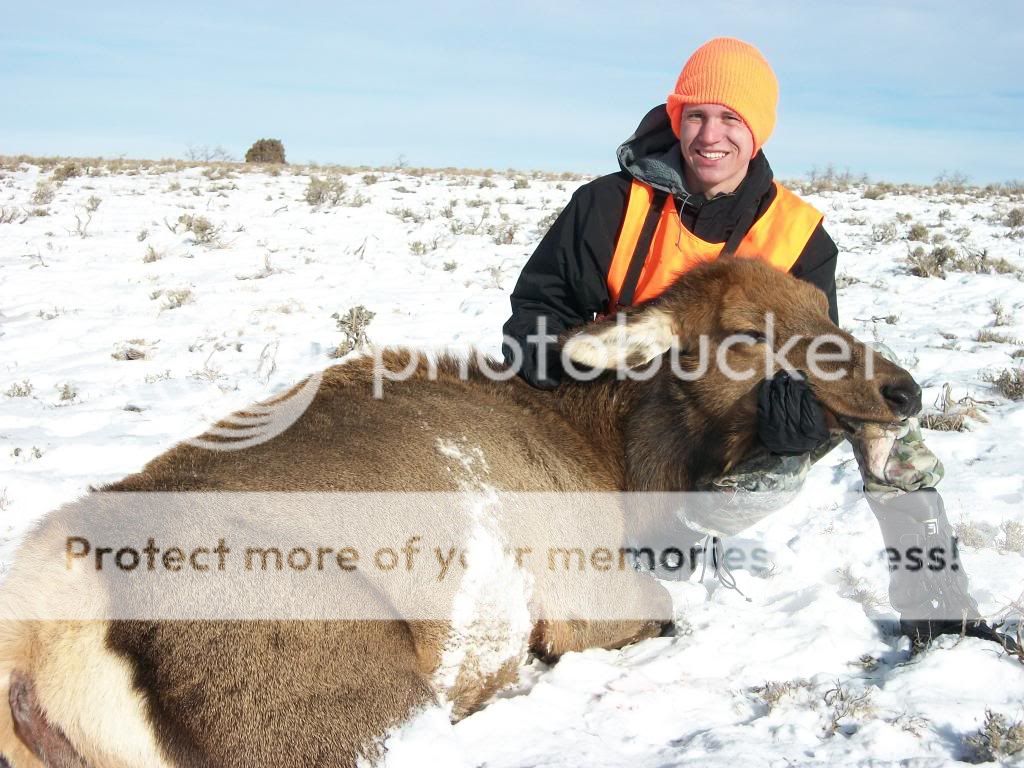 12-22-2012elk010_zpse0e7f878.jpg