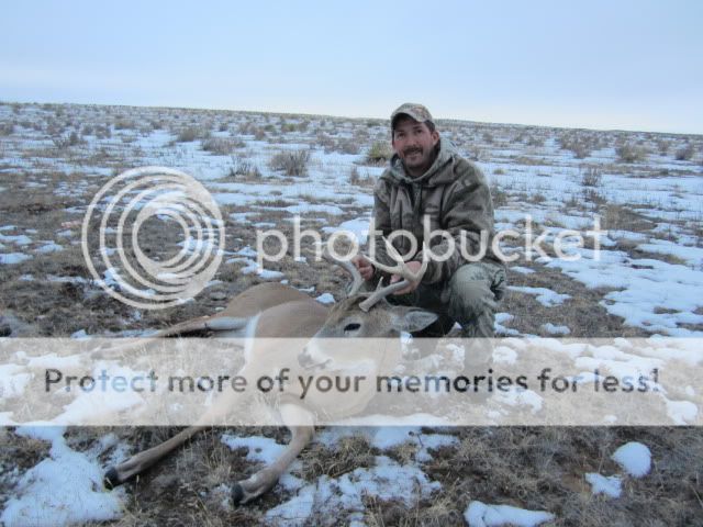 NMWhitetail116.jpg