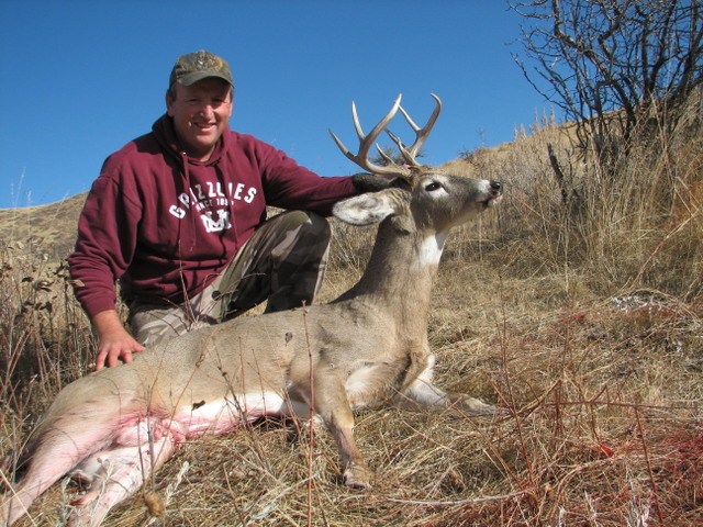 2010deer%20008.jpg